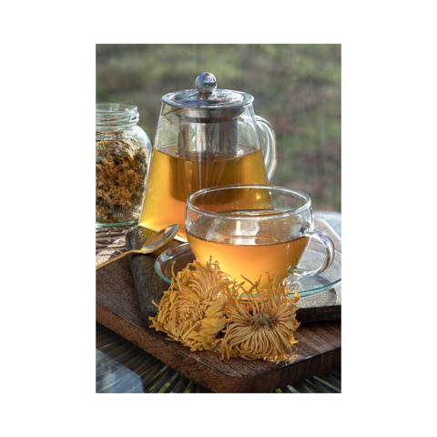 Chrysanthemum Flowers Tea