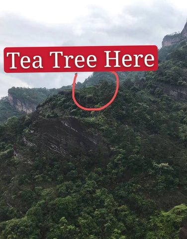 Premium Wuyi Mountain Da Hong Pao (Big Red Robe) Rock Tea